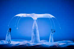 momix-bothanica-1