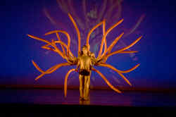 momix-bothanica-2