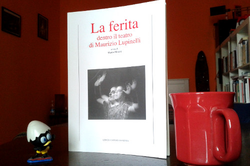 foto libro lupinelli 500