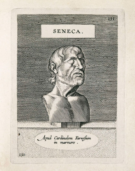 seneca grafica