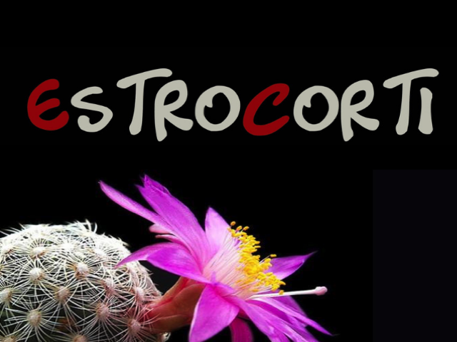 estro2.png