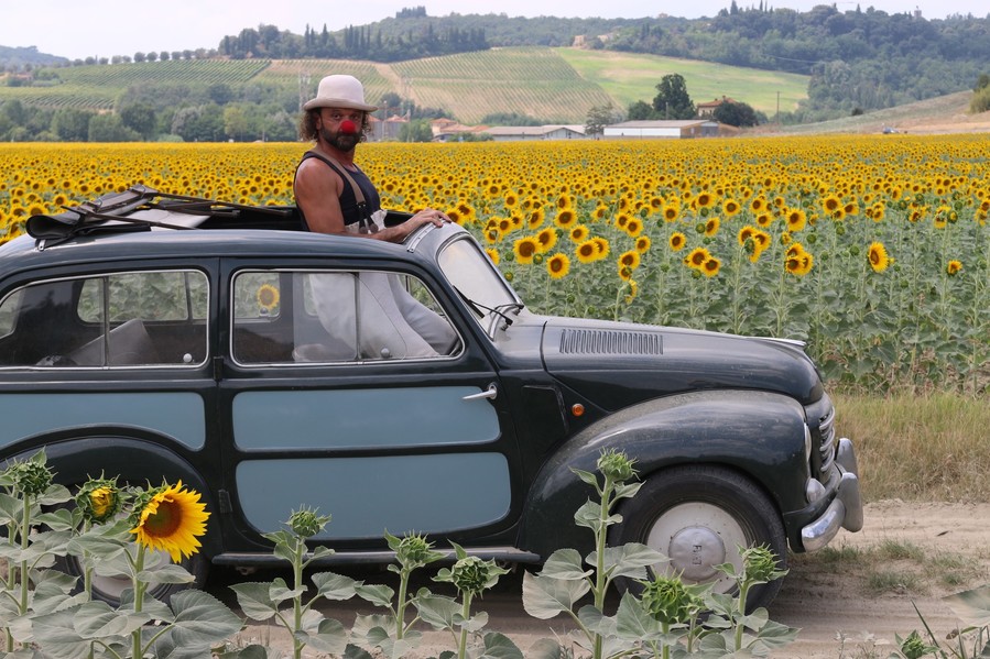 girasoli.jpg