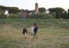 Ai Confini dell’Arte 2026, cinque laboratori gratuiti a Roma tra danza urbana, clown, videomapping e storia orale